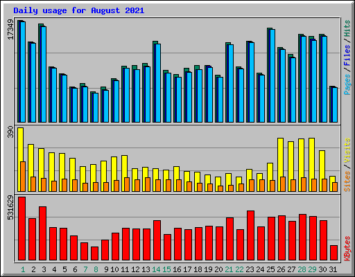 Daily usage for August 2021