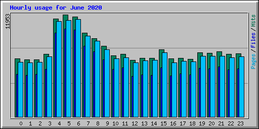 Hourly usage for June 2020