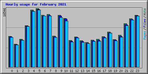 Hourly usage for February 2021