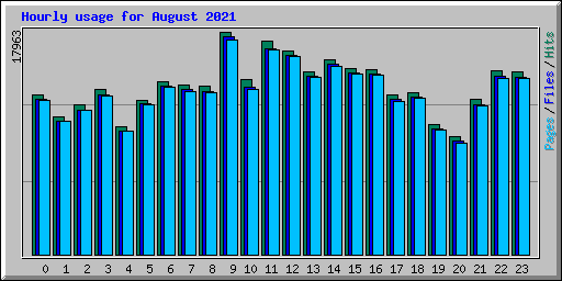 Hourly usage for August 2021