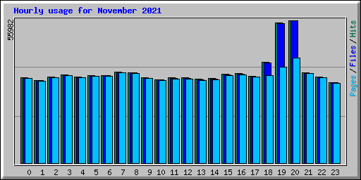 Hourly usage for November 2021