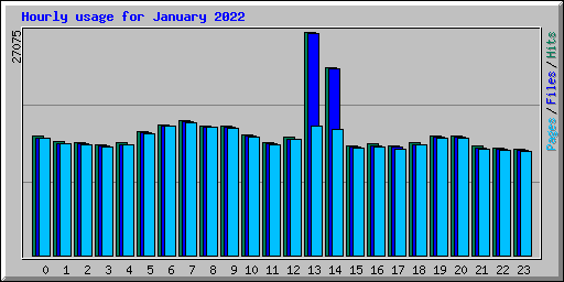 Hourly usage for January 2022